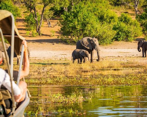 AMBOSELI NATIONAL PARK, LAKE NAKURU NATIONAL PARK, MASAI MARA GAME RESERVE  - Image 2