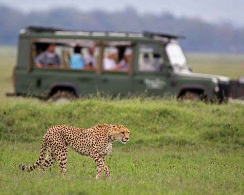 TSAVO WEST NATIONAL PARK, MOMBASA  - Image 3
